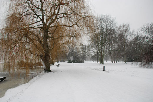 Alsterpark im Winter 2010