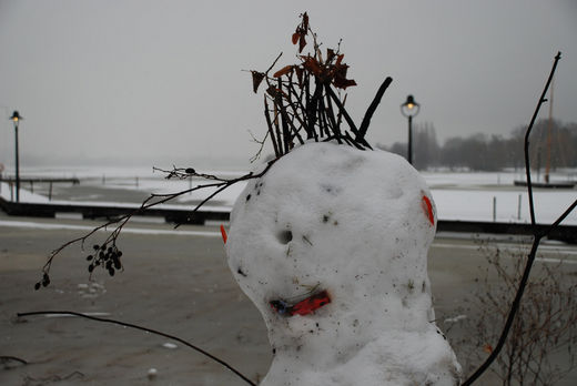 Schneemann mit Iro