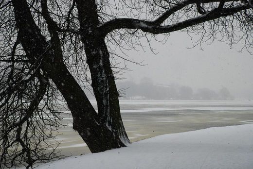 Schneefall an der Alster