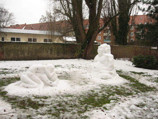 SCHNEEMANN 1