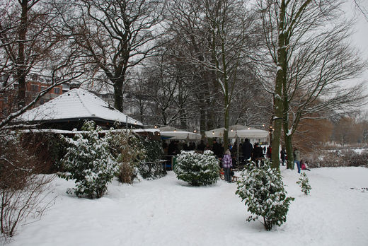 Alsterperle im Winter 2010