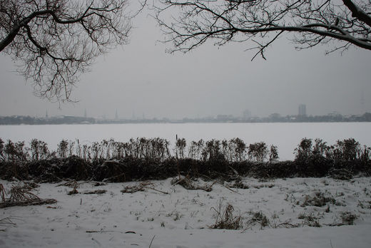 Alstervorland im Schnee