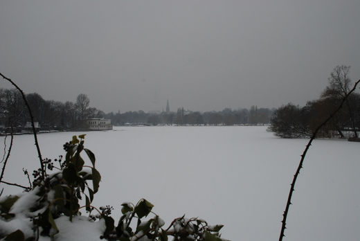 Neuschnee am langen Zug