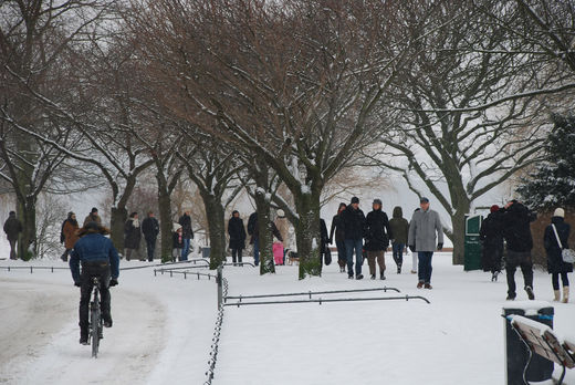 Sonntagsspaziergang im Schnee