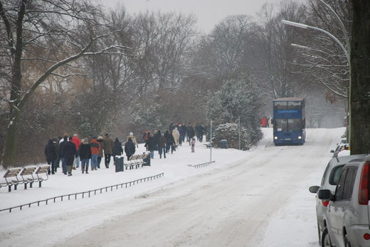 Stadtrundfahrt an der Alster im Schnee