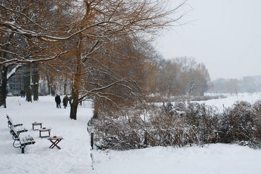 Winter an der Auenalster