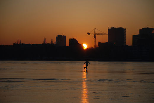 Eisluferin im Sonnenaufgang auf der Alster