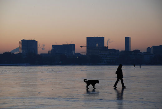 Gassi gehen auf der Alster