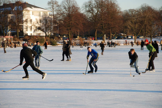 Eishockey auf Alstereis