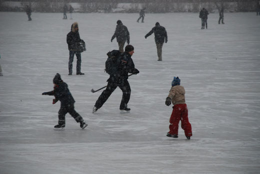 Kufencracks auf der Alster