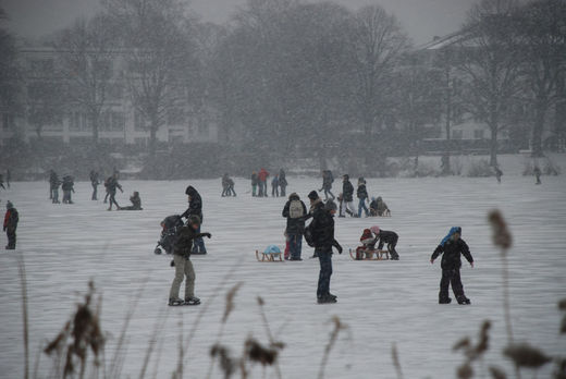 Neuschnee auf Alstereis