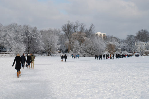 Langer Zug Winter 2010