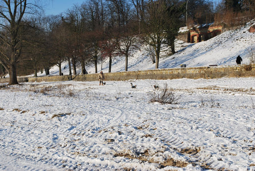 Elbuferweg im Schnee