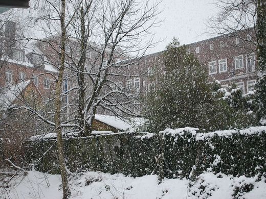Schneefall am Borgweg