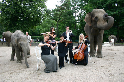 Romantik Nchte im Tierpark Hagenbeck