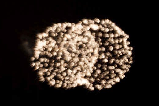 Kirschbltenfeuerwerk 2010