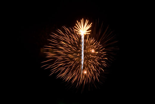 Kirschbltenfeuerwerk Hamburg 2010