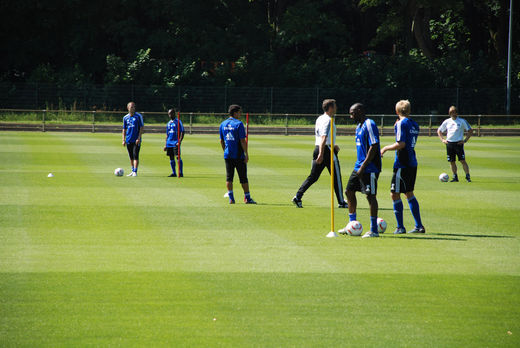 Collin Benjamin wieder im HSV Training