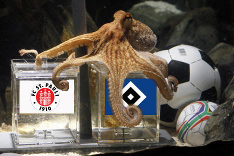 Krake Paul sagt HSV gegen Fc St. Pauli voraus