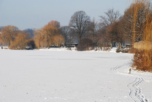 Schlittenspuren auf der Aussenalster