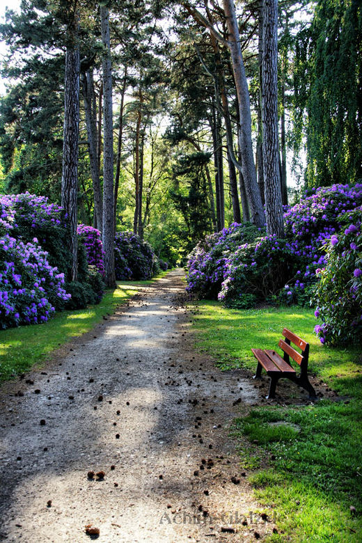 der-Weg-im-schatten-HDR