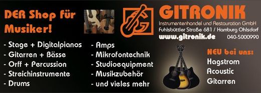 Groe Auswahl an Gitarren Yamaha,LAG,Takamine,Breedlove