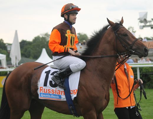 Derbystarter Russian Song vom Gestt Idee