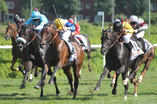 Finish im Deutschen Derby