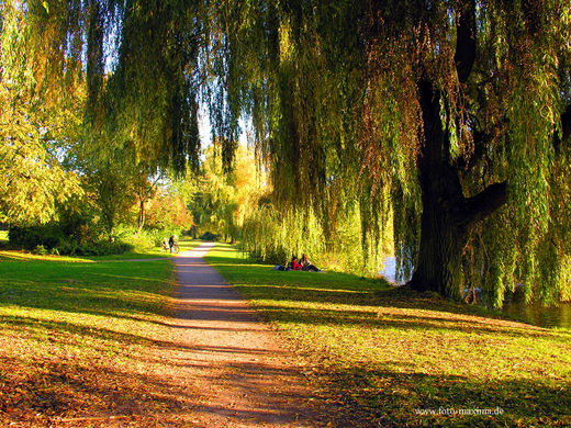 Herbst an der Oberalster 2