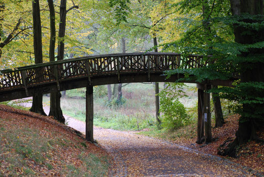 Holzbrcke fr Fussgnger im Jenisch Park