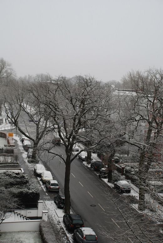 Sierichstrasse von oben ber Villen und Schneebume