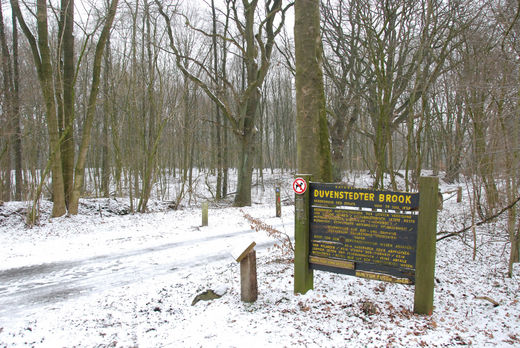 Schild Duvenstedterbrook am Waldweg im Schnee