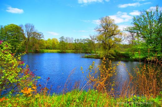 der-Kupfermuehlenteich-in-Duvenstedt-