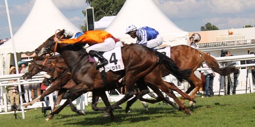 Zieleinlauf ab Platz 3 - IDEE 145. Deutsches Derby