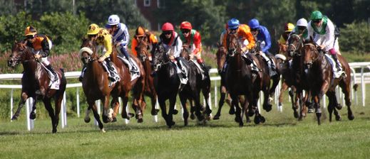 Start - IDEE 145. Deutsches Derby