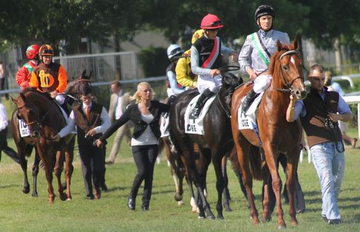 Aufgalopp - IDEE 145. Deutsches Derby