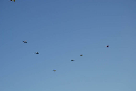 Flieger am Hafengeburtstag