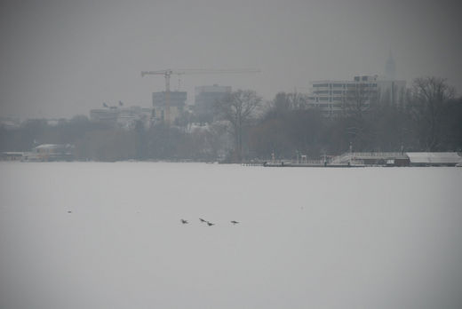 Mwen auf der Aussenalster