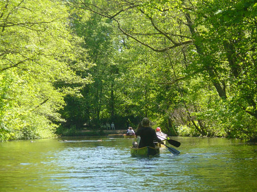 Kanus auf der Alster