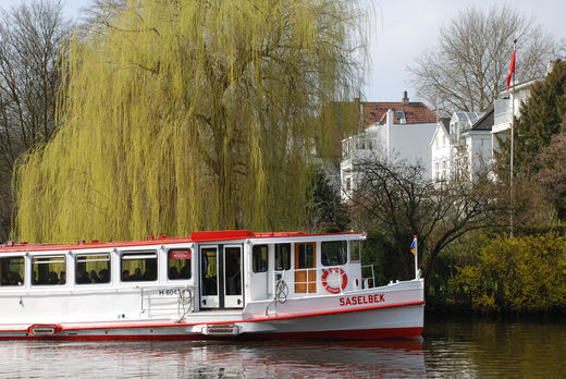 Saselbek auf dem Langen Zug