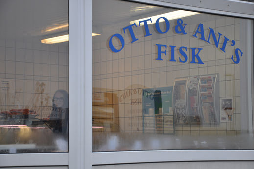 Otto Anis Fisk Romo