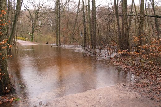 Oberalsterflut