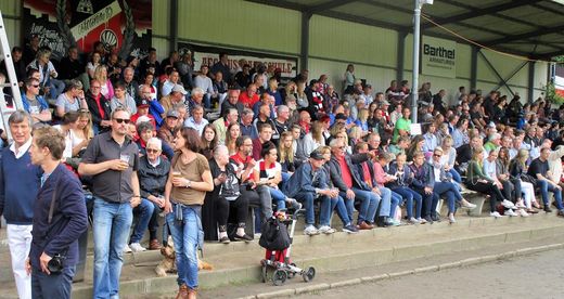 Volle Tribne, ber 3.100 Zuschauer