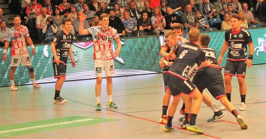 HSV Handball - Flensburg-Handewitt 2