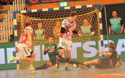 HSV Handball - Flensburg-Handewitt 2