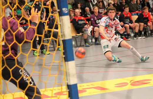 HSV Handball - Flensburg-Handewitt 2