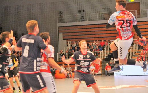 HSV Handball - Flensburg-Handewitt 2