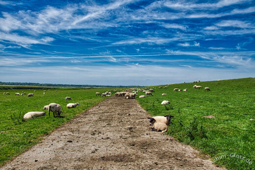 Spaziergang am Deich