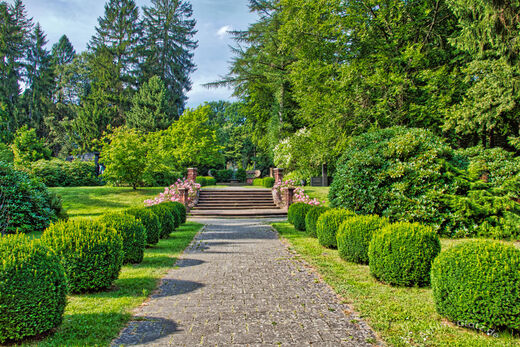 der Weg zum Brunnen