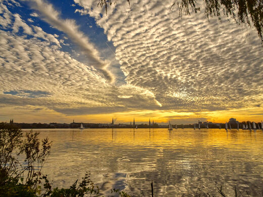 Der Himmelsvogel an der Auenalster